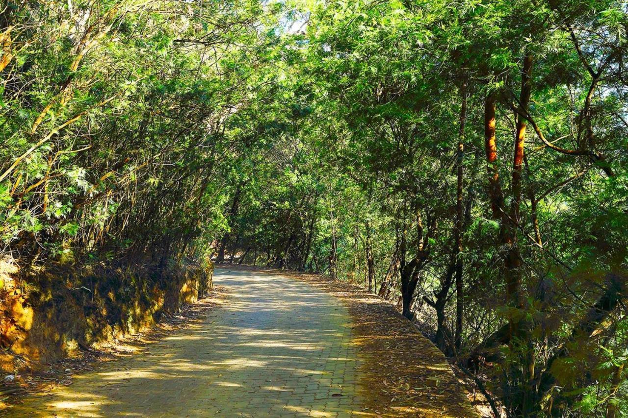 Logan Camp Ooty Hotel Coonoor Ngoại thất bức ảnh