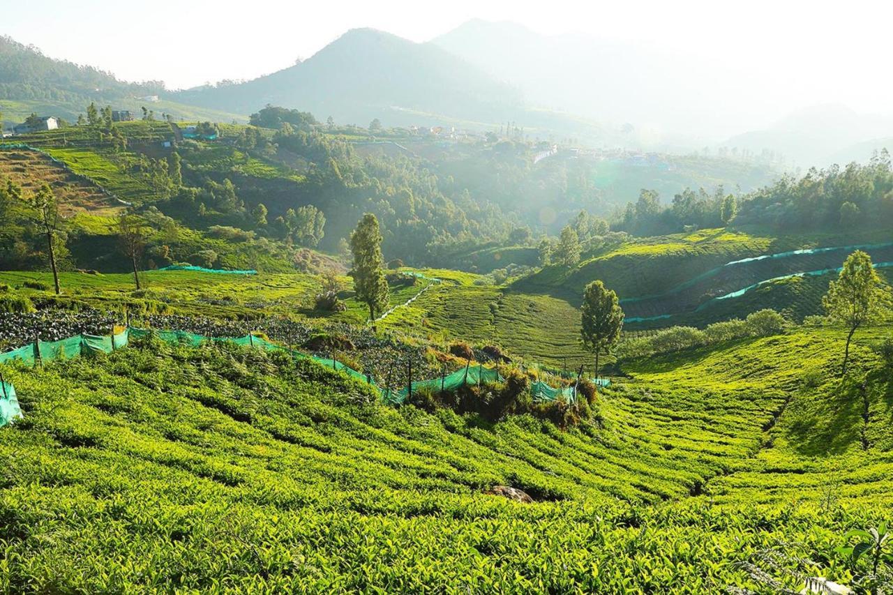 Logan Camp Ooty Hotel Coonoor Ngoại thất bức ảnh